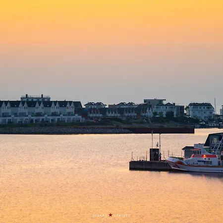 Treibgut Διαμέρισμα *