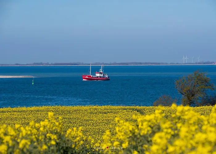 Appartement Treibgut Olpenitz